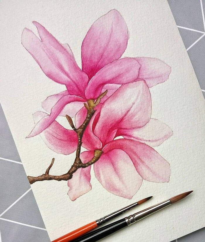 植物 花卉 水彩 艺术家Angelina Gradil（ins:lina_gradil）作品