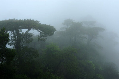 似惜雨晴天恰好，真忘名利日长闲。松筠不锁神仙境，携得烟霞满袖还。 ​