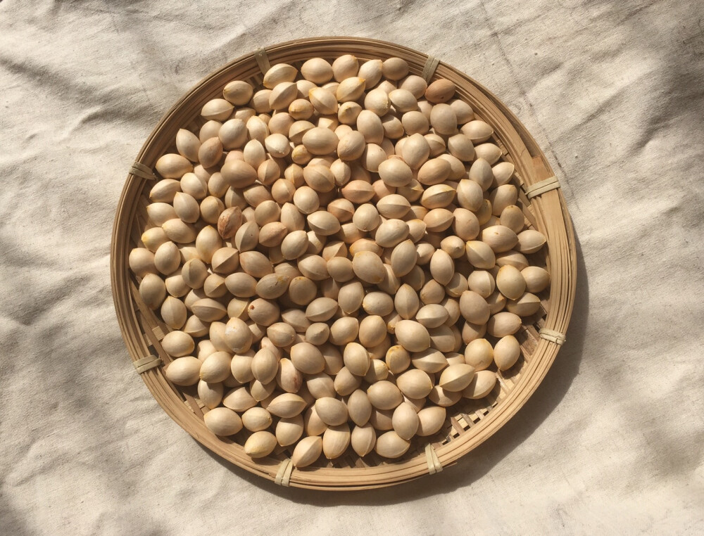 日食