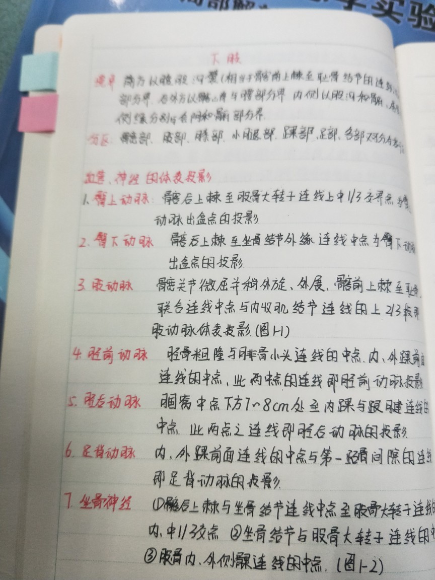 喜欢刘同学