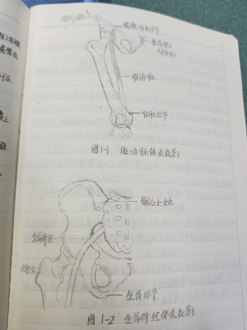 喜欢刘同学