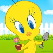 tweety