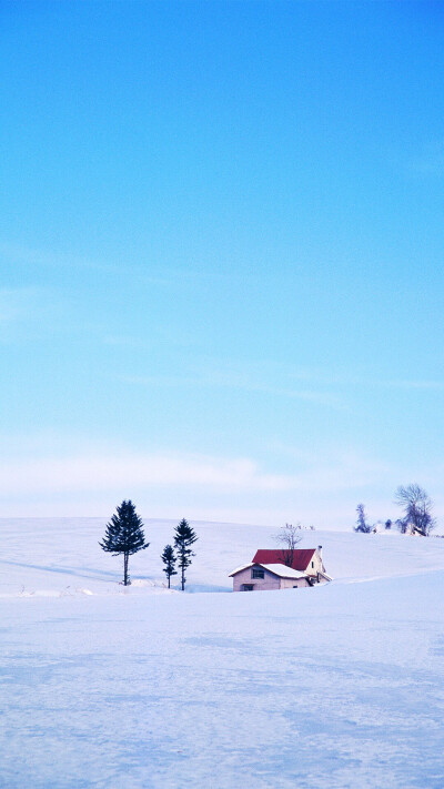 雪景