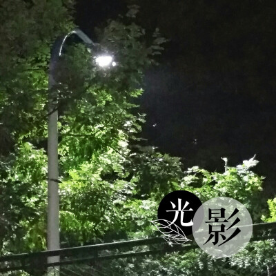 秋夜的温柔*