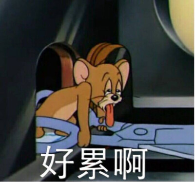 表情包