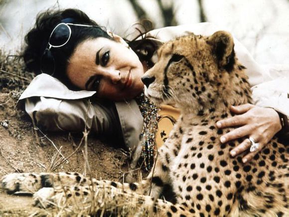 Elizabeth Taylor at Kruger National Park, just before her second wedding to Richard Burton in Botswana, Africa, Oct. 1975. 