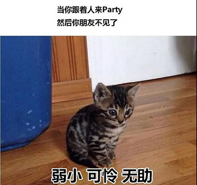 当代年轻人社恐日常 ​