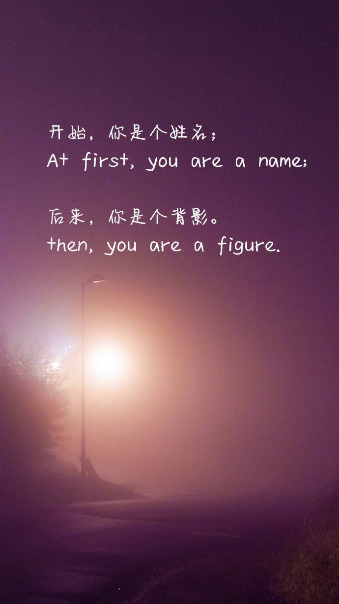  开始，你是个姓名； At first, you are a name; 后来，你是个背影。 then, you are a figure. ​​​​