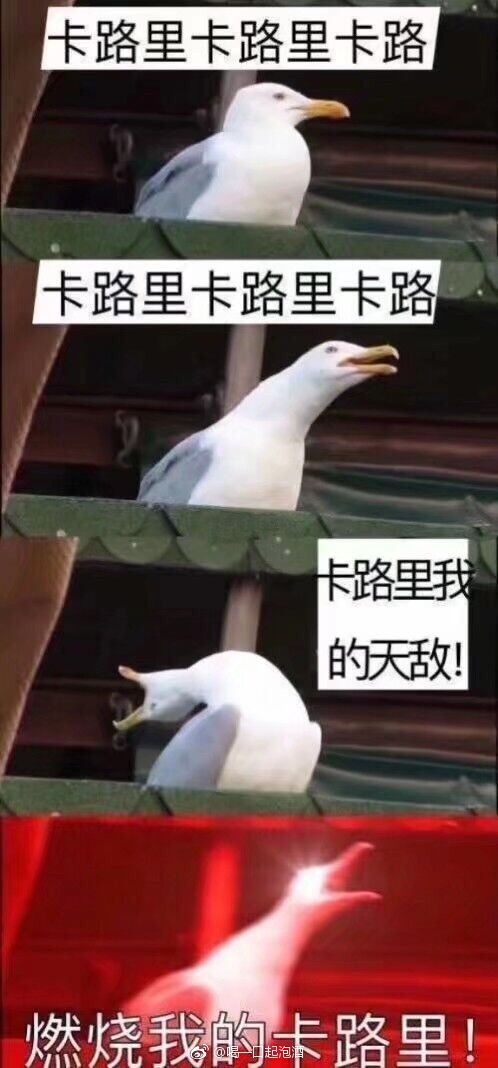 沙雕网友专用