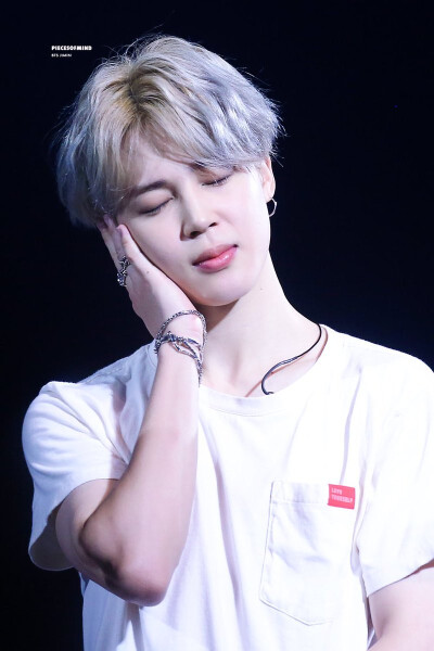 Jimin 朴智旻 BTS 防弹少年团 BTS WORLD TOUR 'LOVE YOURSELF'演唱会 in 阿姆斯特丹