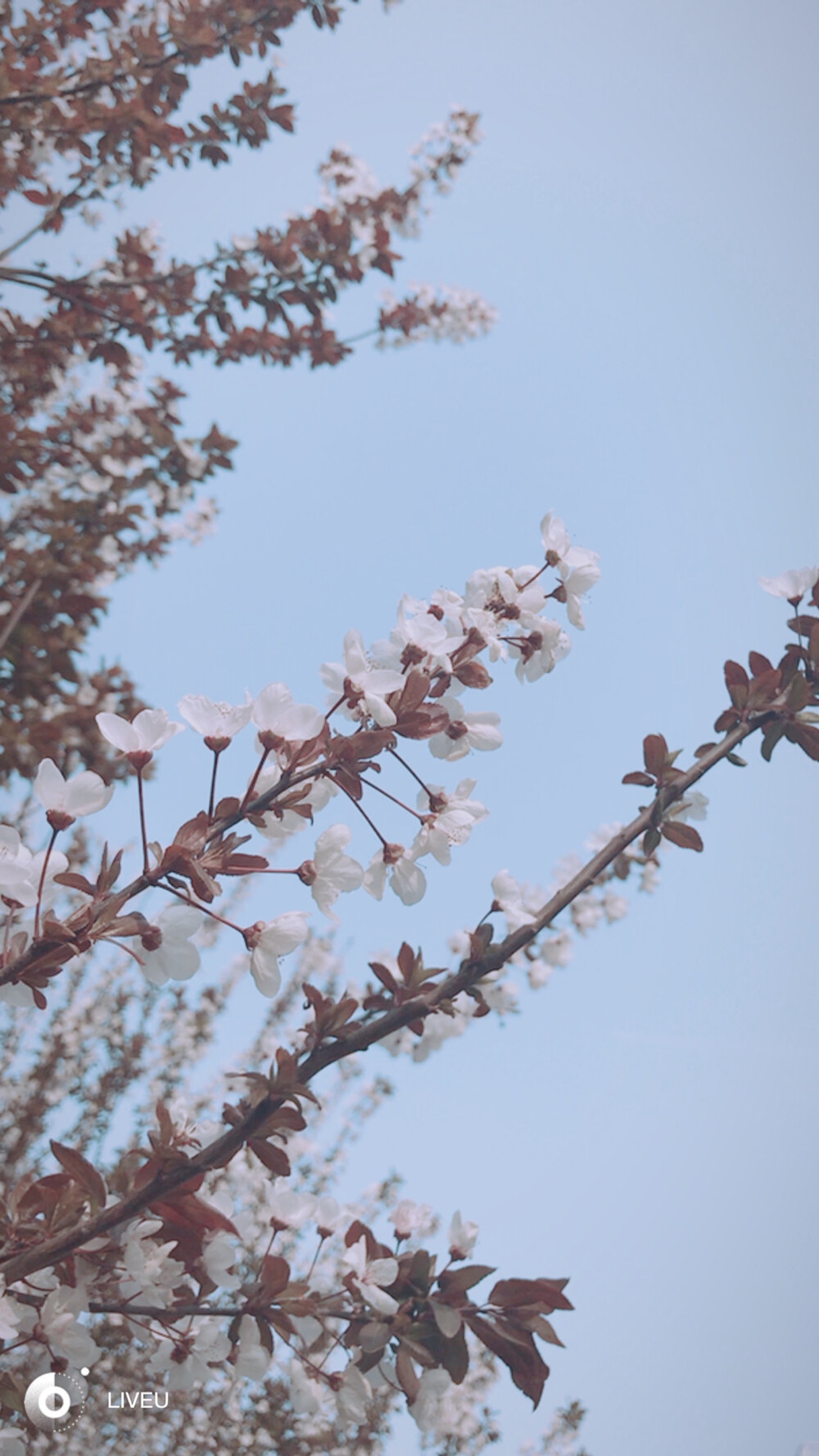 春花秋月何时了。