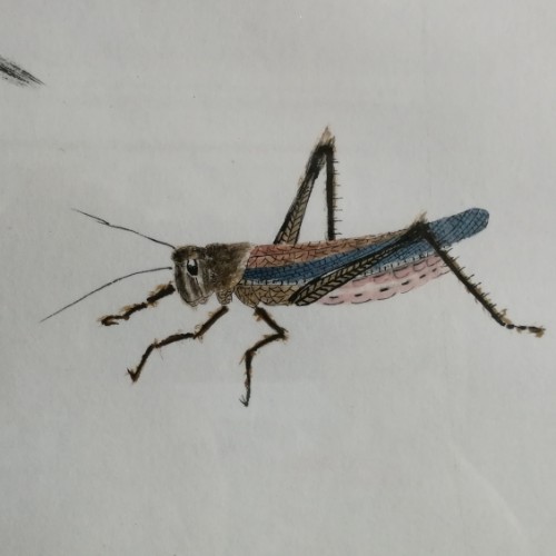 作品：《昆虫》
画家：程顺油