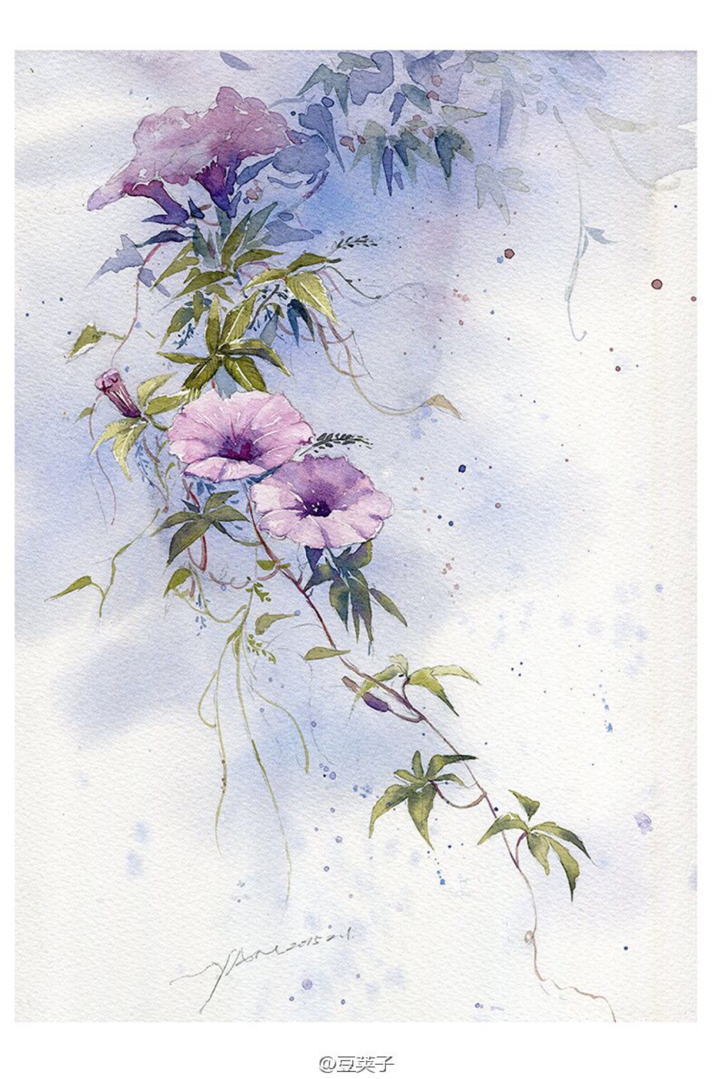 花卉