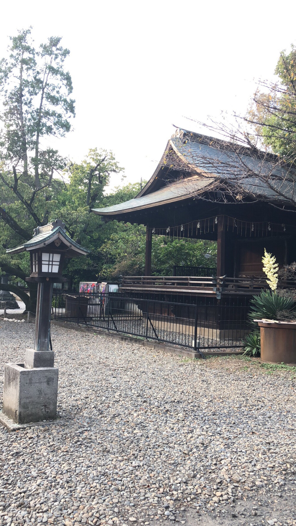 上野公园周边各种神社¯\_(ツ)_/¯