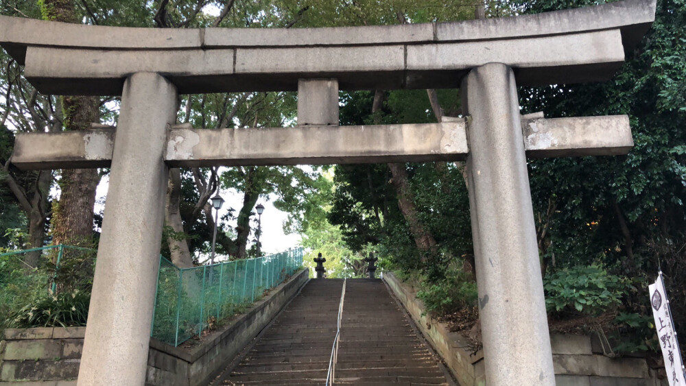 上野公园周边各种神社¯\_(ツ)_/¯，最后认识个老爷爷，一直唠嗑来着