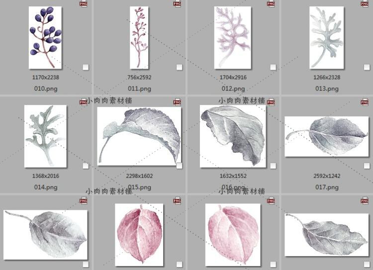 粉紫色花卉花朵请柬贺卡情人节浪漫装饰图案PNG设计素材png351