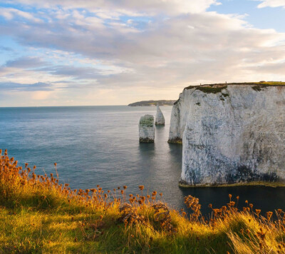 ☝ᖗ乛◡乛ᖘ☝ 完美