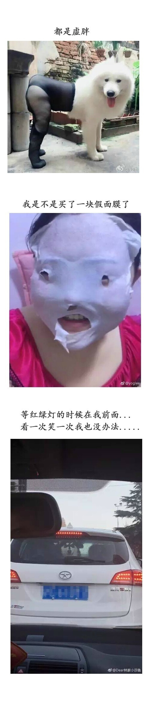 你遇到过最搞笑的图片是什么？哈哈哈这些可以说非常爆笑了！ ​​​​