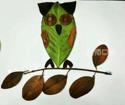 树叶贴画