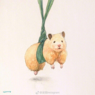 日本插画师Gotte用画笔描绘出小仓鼠的精致生活。ins:gottehamham ​​​​