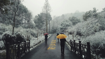 雪景