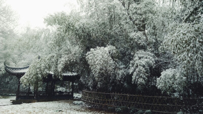 雪景