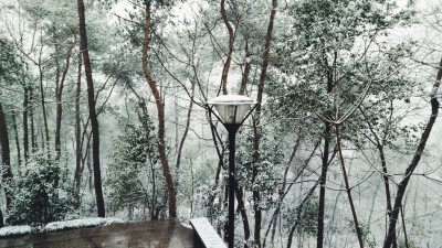 雪景