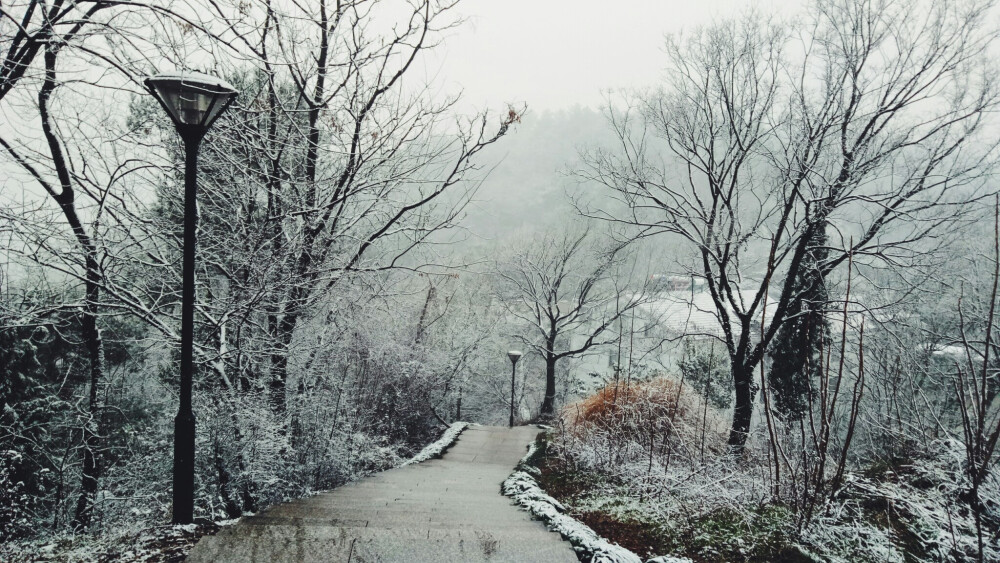 雪景