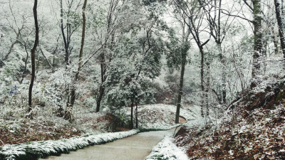 雪景