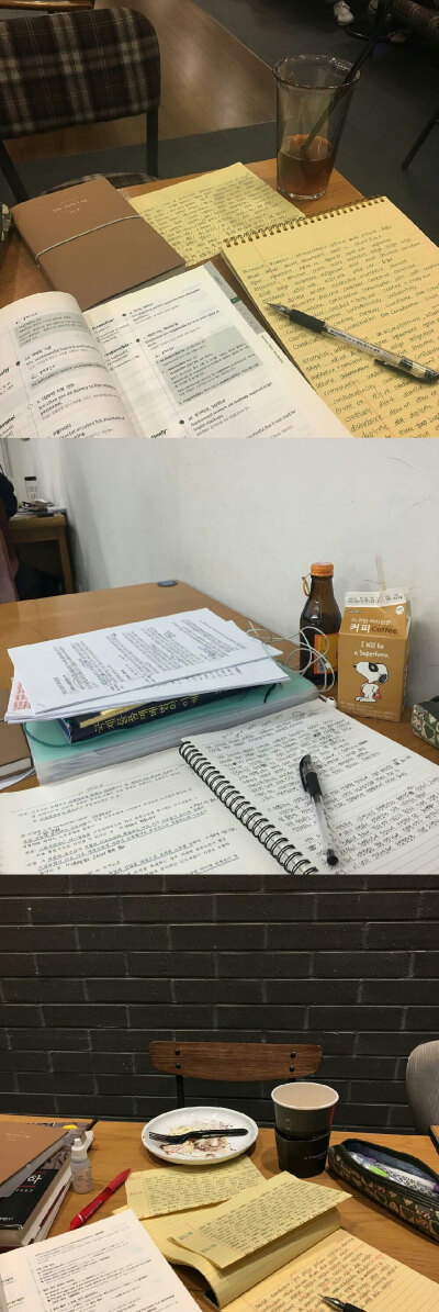 咖啡馆 × studying