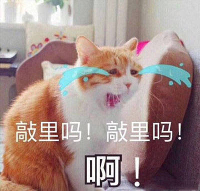 一组猫猫哭哭表情包 ​