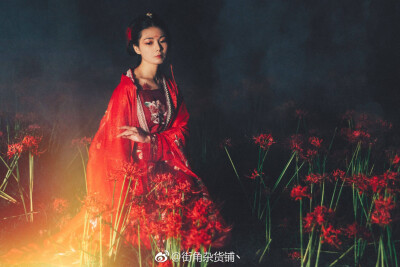 《曼珠沙华》
下 「花篇」
她本是掌管忘川河畔曼珠沙华花期的天女，因一次不慎误了花期犯下天律被天神罚贬凡间，花开之季便千年为花，去渡那忘川河上的魂，花落时节则千年为人，去渡那尘世凡间的人，如此轮回。
…