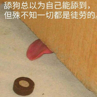 舔狗啊