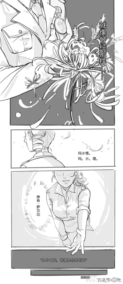 佣兵空军