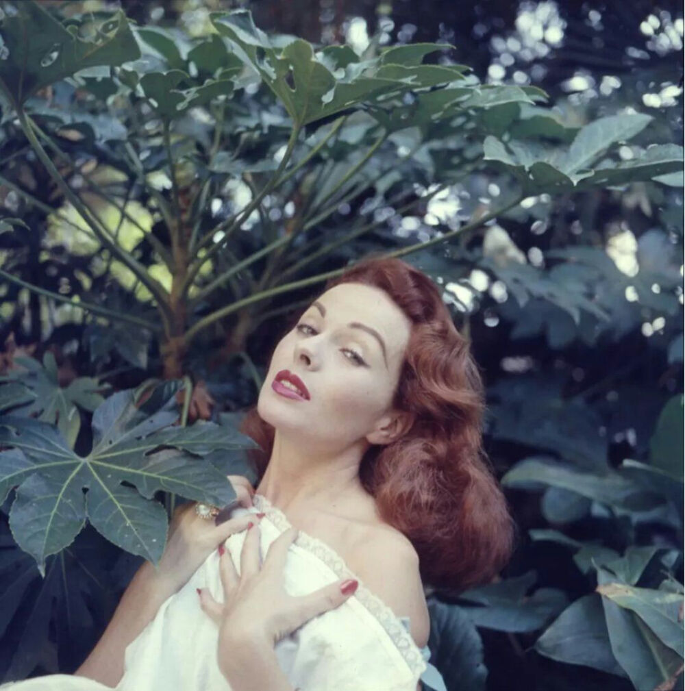 珍妮克雷恩
Jeanne Crain
美国女演员.1925-2003年