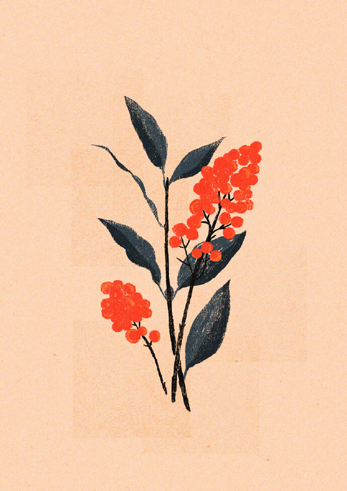 简洁是智慧的灵魂冗长是肤浅的藻饰莎士比亚67676767