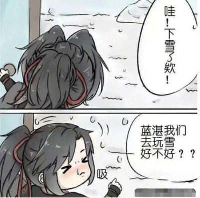 蓝湛 我们一起去看雪吧