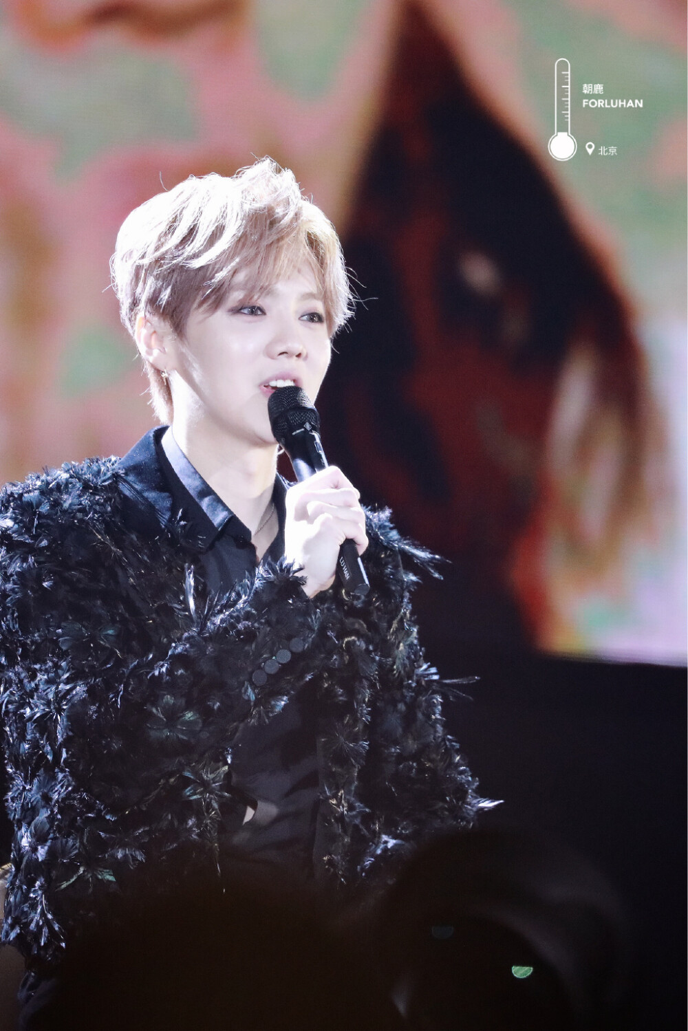 呆萌傻狍子 鹿晗 Luhan #壁纸 #头像