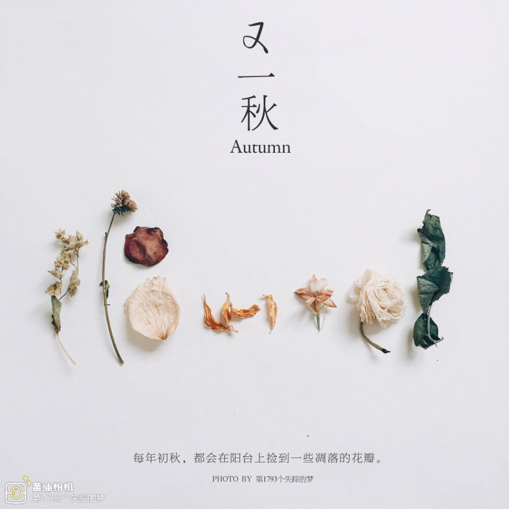 大风起，落叶开启秋的旅程。
cr:@黄油相机｜秋日模板图 ​