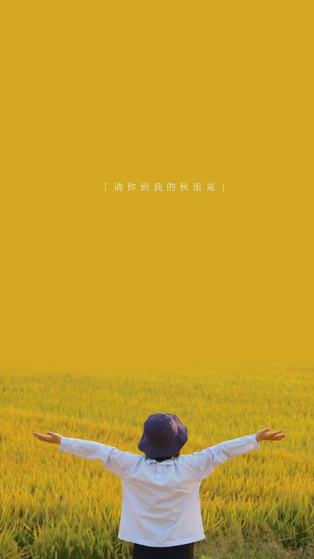 秋日壁纸