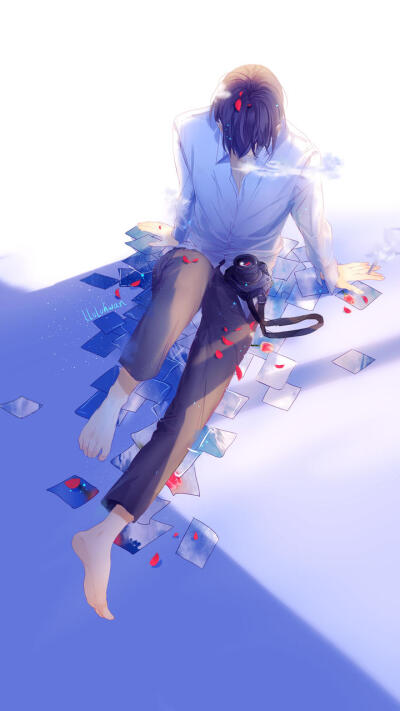 我仅是不愿，见寓意着圆满的合欢，晚景凄凉。