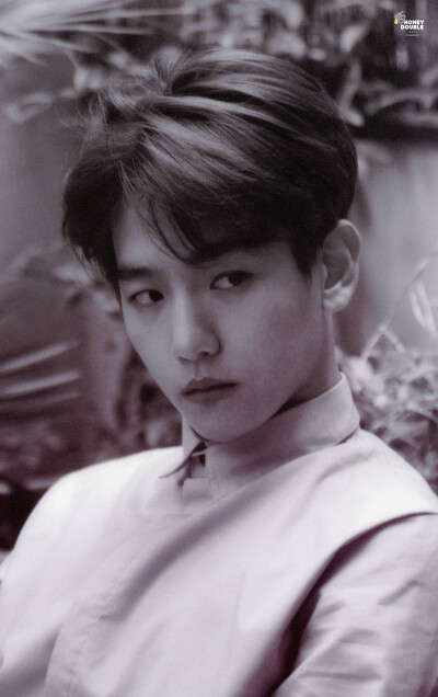 #边伯贤# #BAEKHYUN# #EXO#壁纸 背景 头像 锁屏 EXODUS