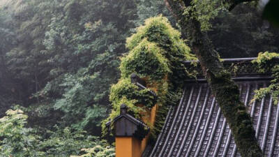 鹫岭郁岧峣，龙宫锁寂寥。楼观沧海日，门对浙江潮。桂子月中落，天香云外飘。扪萝登塔远，刳木取泉遥。霜薄花更发，冰轻叶未凋。夙龄尚遐异，搜对涤烦嚣。待入天台路，看余度石桥。-------《灵隐寺》宋之问 ​