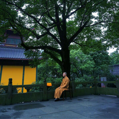 鹫岭郁岧峣，龙宫锁寂寥。楼观沧海日，门对浙江潮。桂子月中落，天香云外飘。扪萝登塔远，刳木取泉遥。霜薄花更发，冰轻叶未凋。夙龄尚遐异，搜对涤烦嚣。待入天台路，看余度石桥。-------《灵隐寺》宋之问 ​