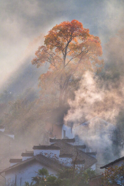 漠漠青山水自流，西风烟树几经秋。旧进歌舞人游地，月满江城十二楼。----------《石城秋夜》释斯植 ​