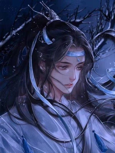 魔道祖师 忘羡 情头 蓝忘机魏无羡