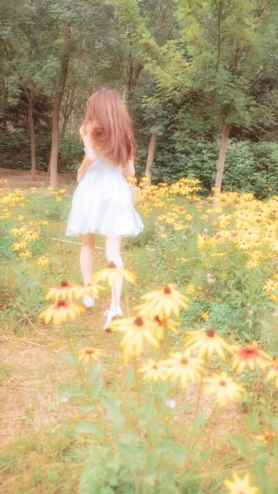 壁纸
往后余生
暴瘦是我
有钱也是我
——网易云热评《往后余生》 ​