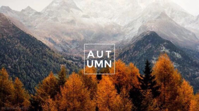 autumn