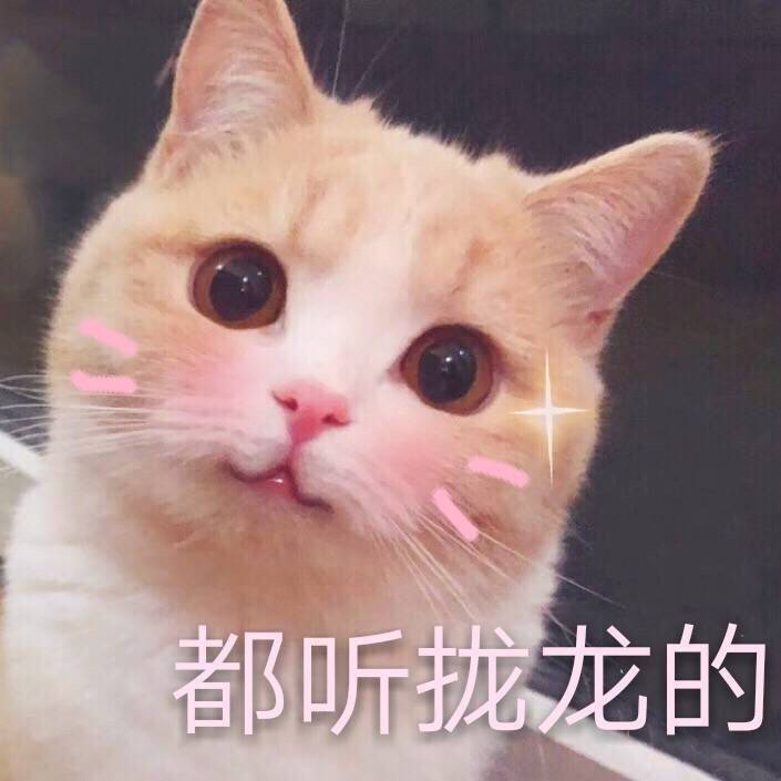 朱一龙