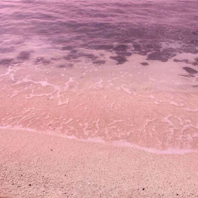 背景图（温柔粉色系）
最近睡的很坏
最好你搬过来